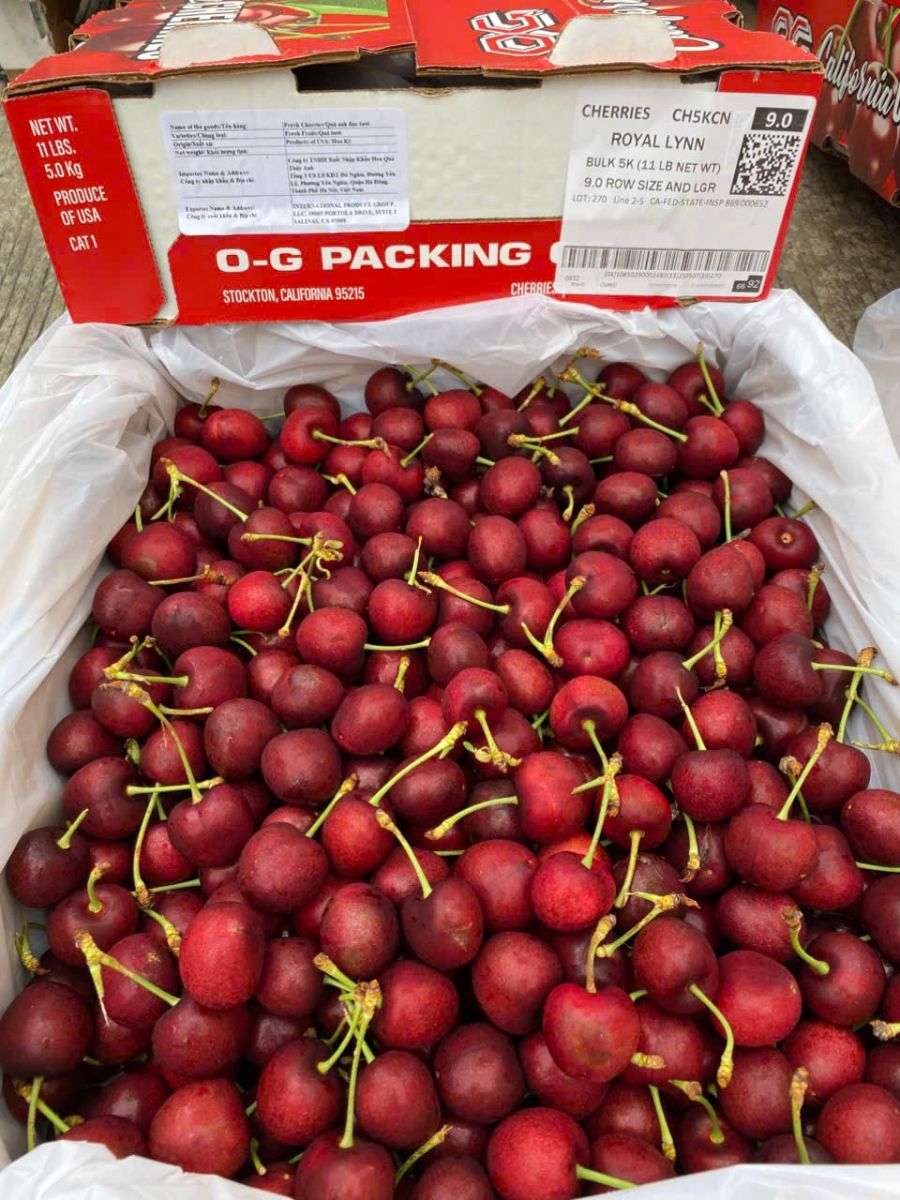 Cherry Mỹ đầu mùa